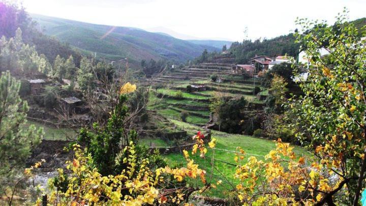 Villa Refugio Da Estrela à Aguincho Extérieur photo